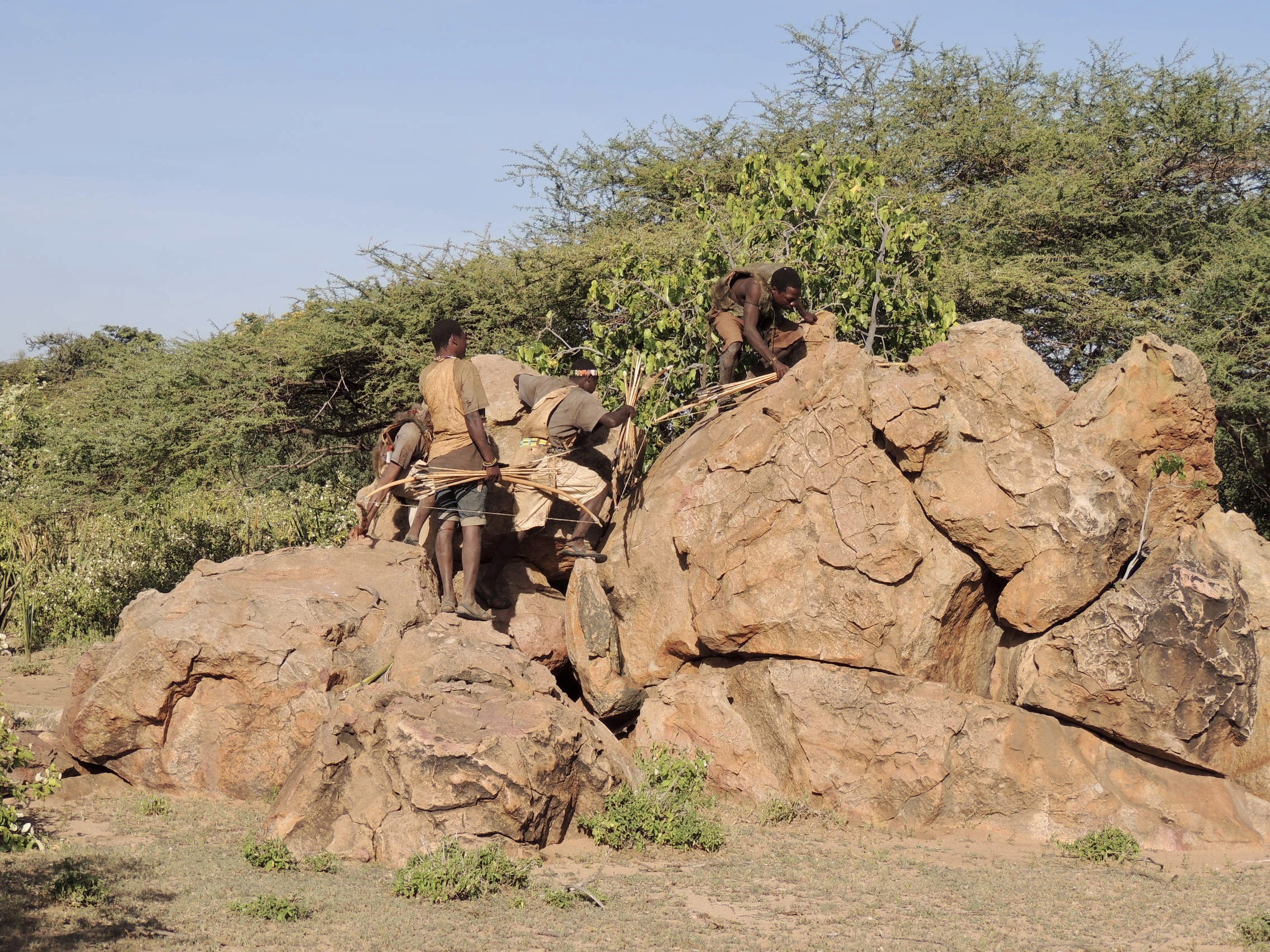 7 Days Tanzania Culture and Wildlife Safari – African Mangu Safaris